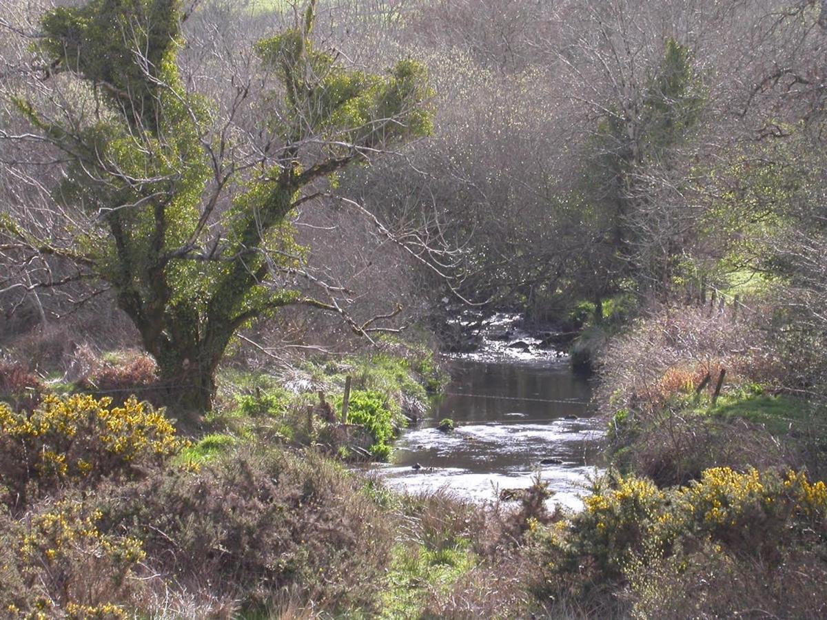 Ravens Oak, West Cork Διαμέρισμα Bantry Εξωτερικό φωτογραφία